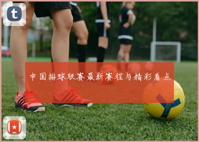 中国排球联赛最新赛程与精彩看点
