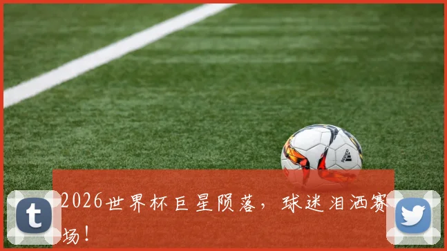 2026世界杯巨星陨落,球迷泪洒赛场!