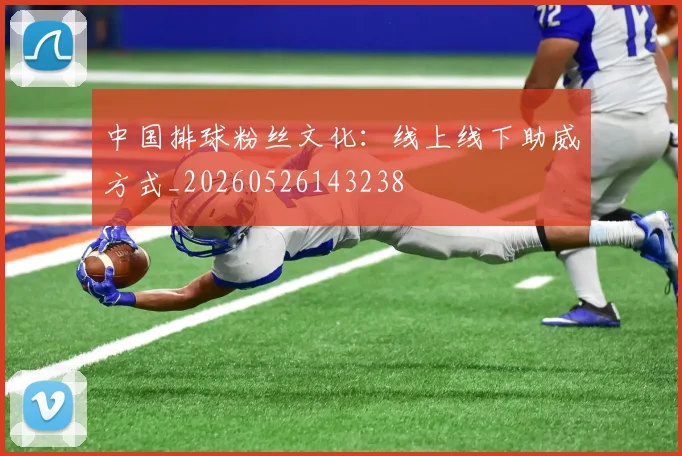 中国排球粉丝文化:线上线下助威方式_20260526143238