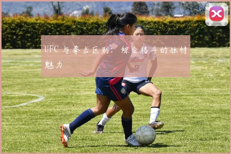 UFC 与拳击区别:综合格斗的独特魅力