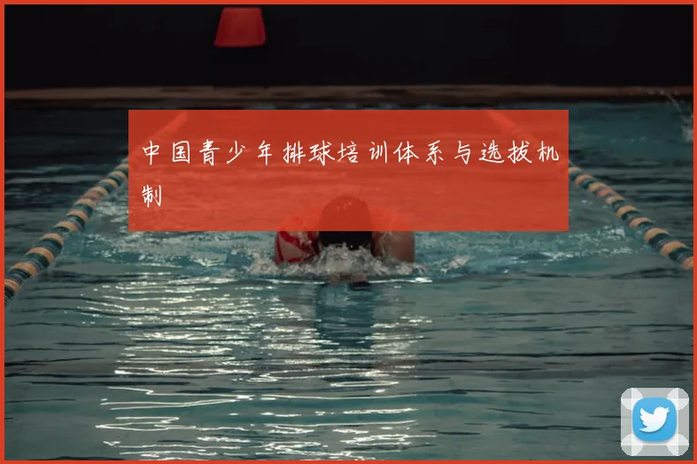 中国青少年排球培训体系与选拔机制