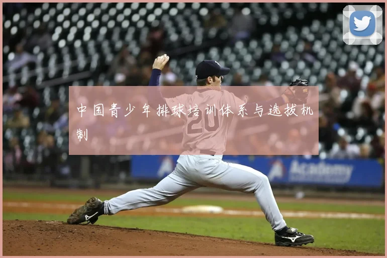 中国青少年排球培训体系与选拔机制