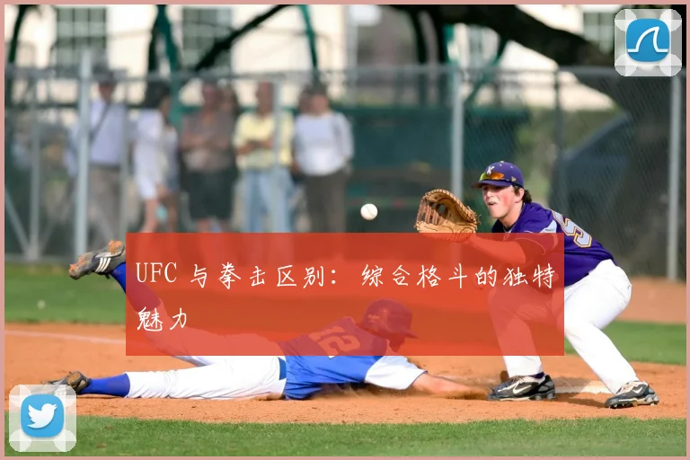 UFC 与拳击区别：综合格斗的独特魅力